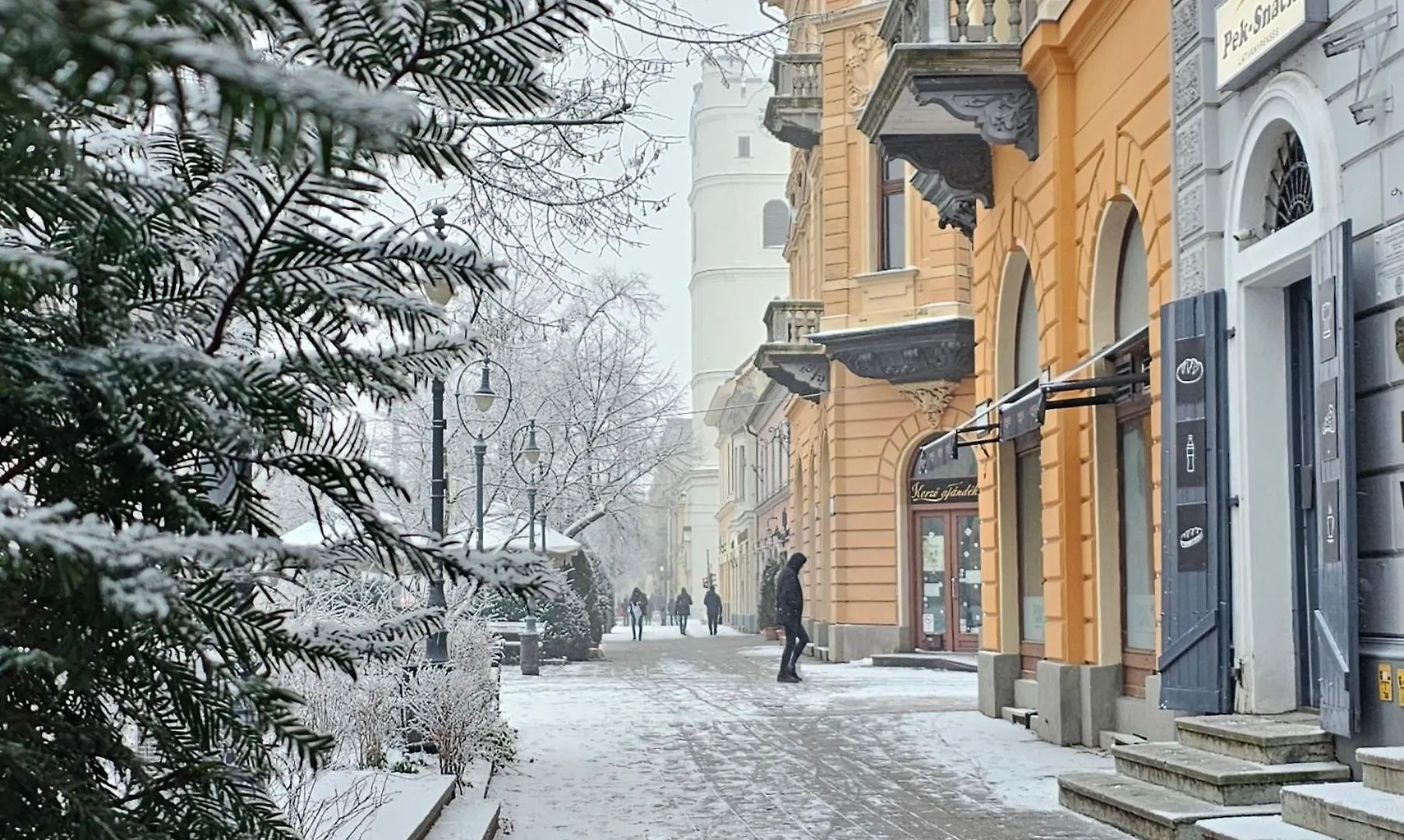 City Centre Piac Flat Дебрецен Венгрия